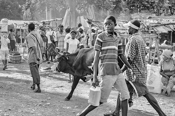 Haiti in Black and White