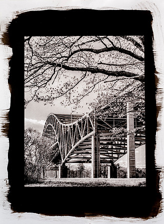 Platinum/Palladium Print